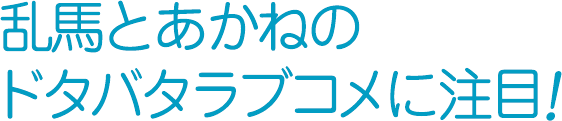 らんま1 2オリジナルグッズ