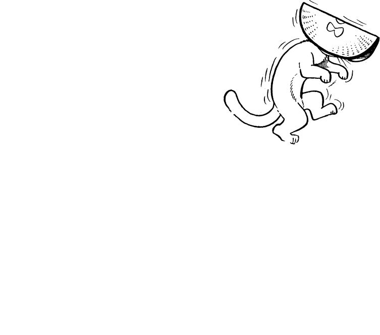 �������ΤҤ礦ϻ��Okesa no Hyouroku��