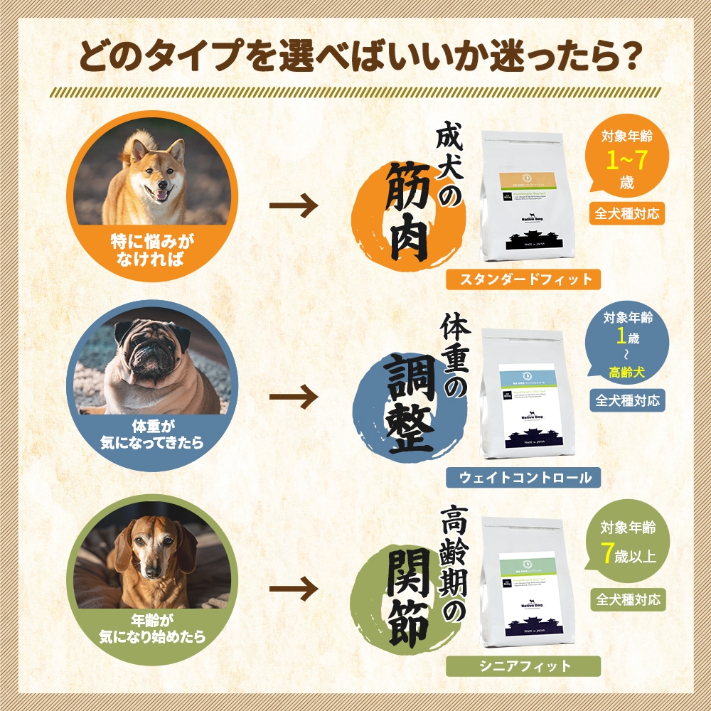 �ܺ� �������