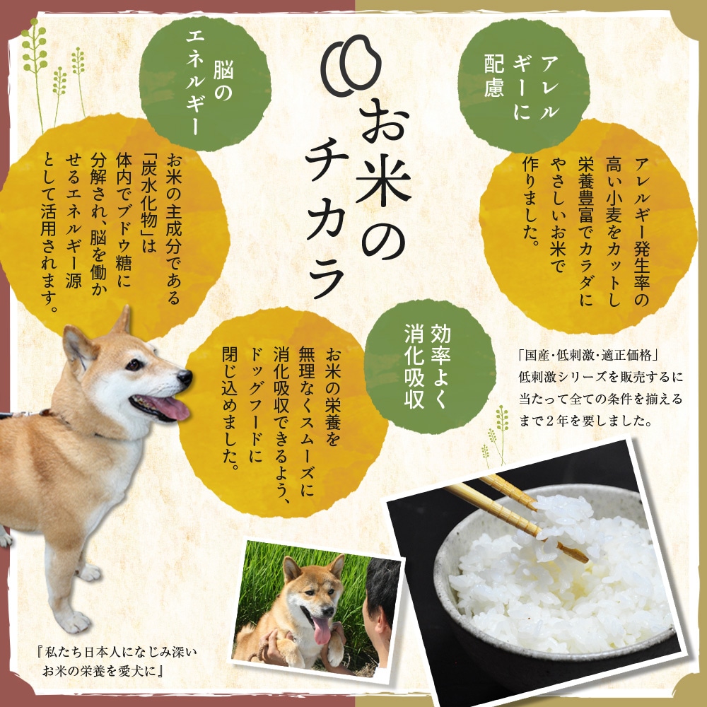 �ܺ� �������