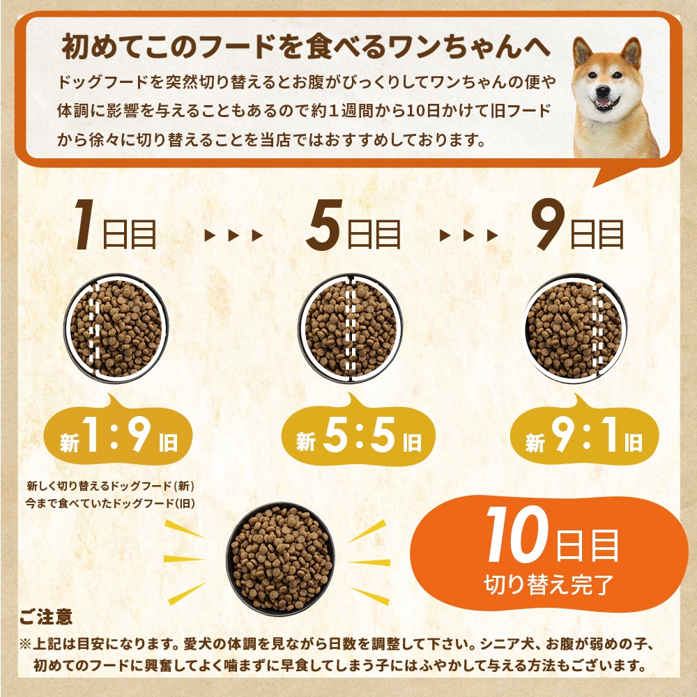 �ܺ� �������