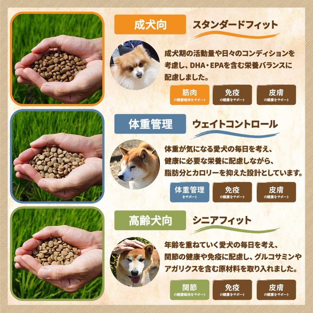 �ܺ� ���ץ�