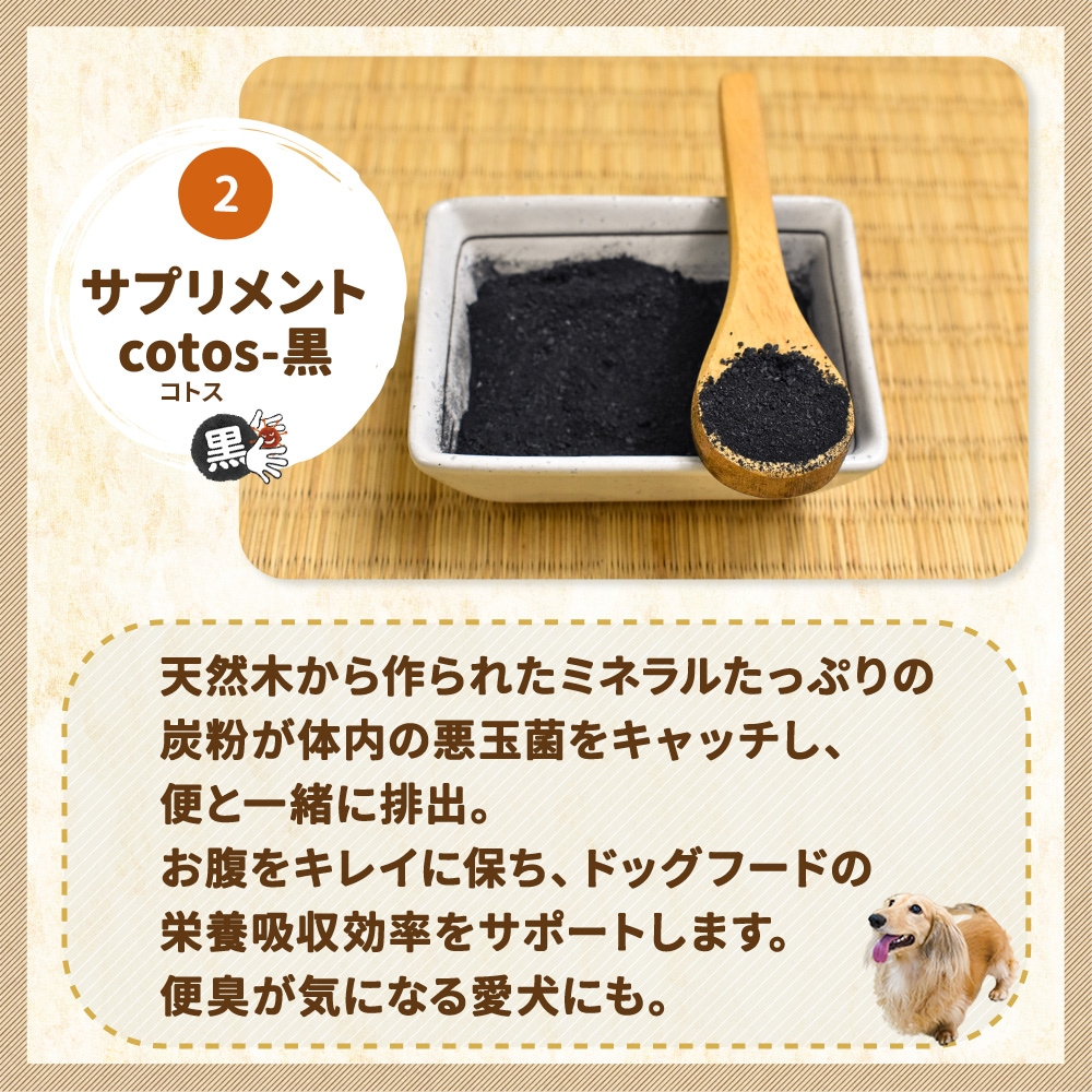 �ܺ� �������