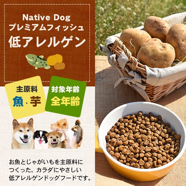 �ץ�ߥ���ե��å���Ȥ�