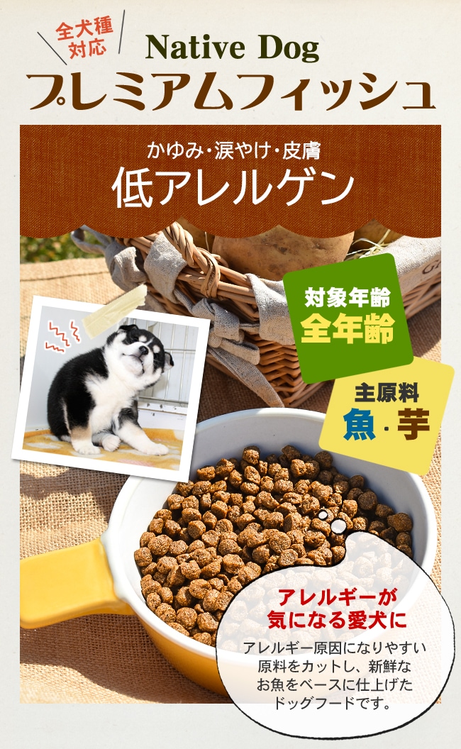 �ץ�ߥ����㥢��륲��TOP