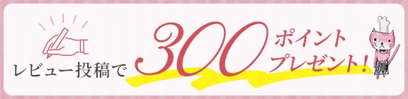 レビュー投稿で300ポイントプレゼント