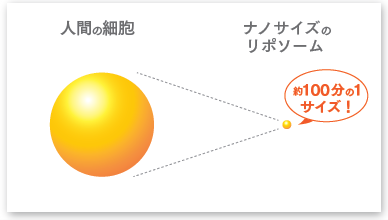 NanoビタミンC