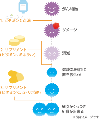 ナチュメディカ オンライン ストア | 高濃度ビタミンC点滴療法