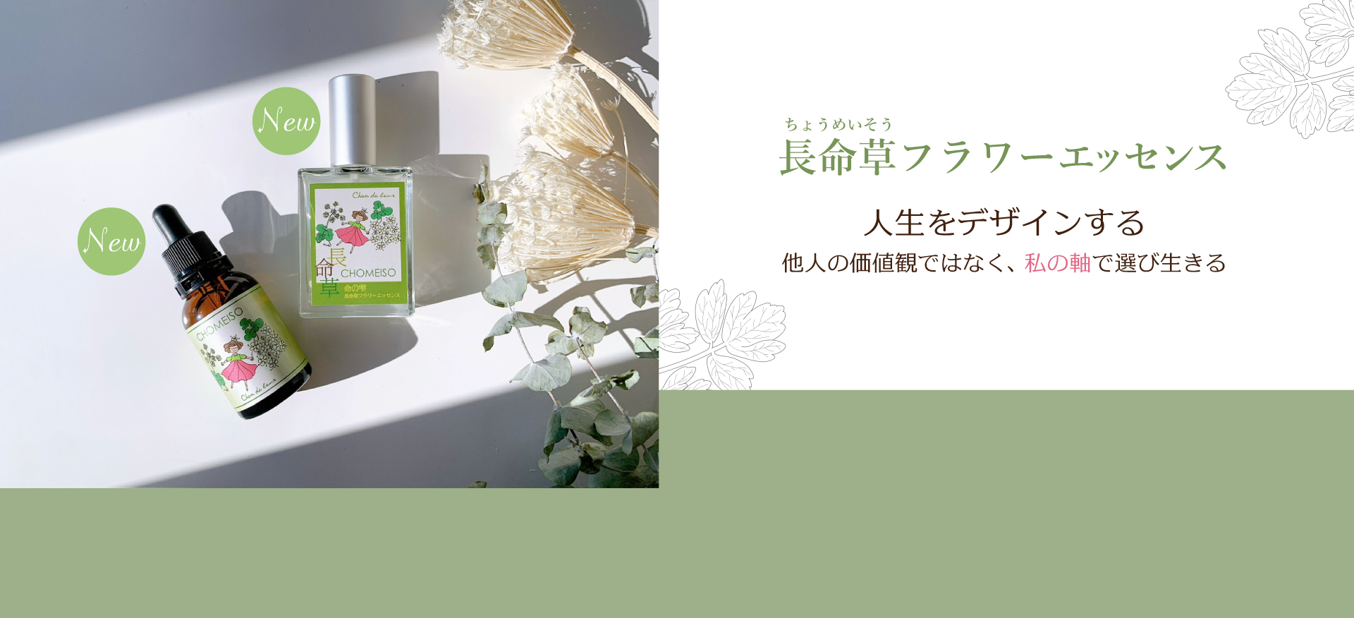 ネイチャーワールド