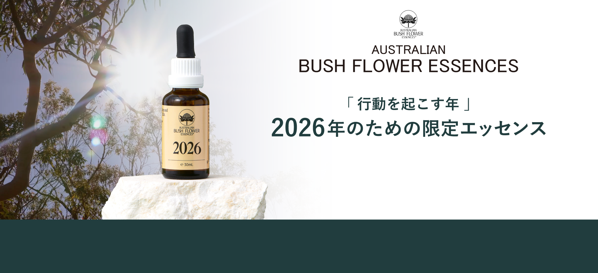 ネイチャーワールド