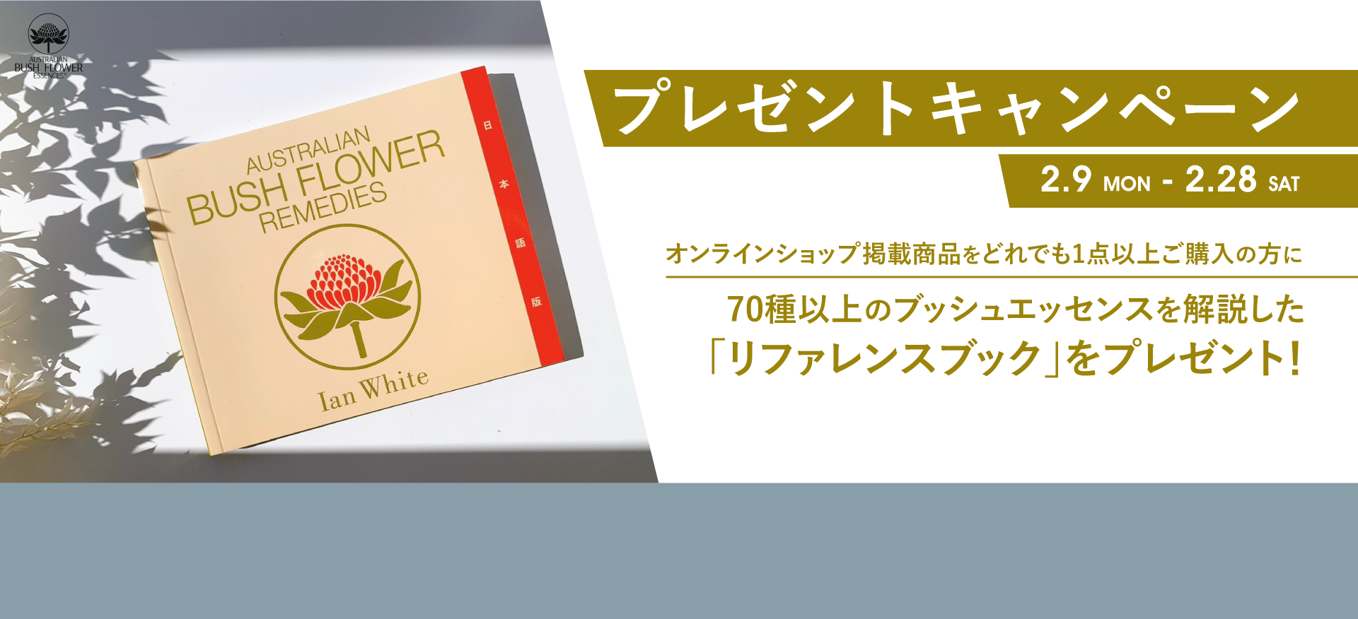 ネイチャーワールド