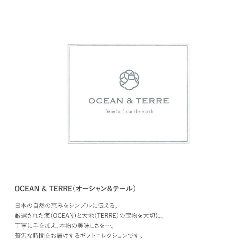 OCEAN ＆ TERRE だし茶漬けセットN  お茶漬け 高級 ギフト プチギフト 甘くないもの 詰め合わせ グルメ 和食 プレゼント 贈り物 お中元 お歳暮 内祝い 引出物  