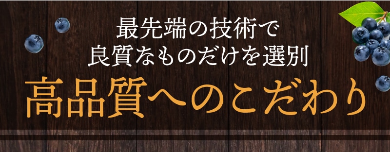 TeaLife ピント一番 ゴールド ブルーベリー 目の疲れ 目の疲労感軽減 サプリメント サプリ ピント調節機能