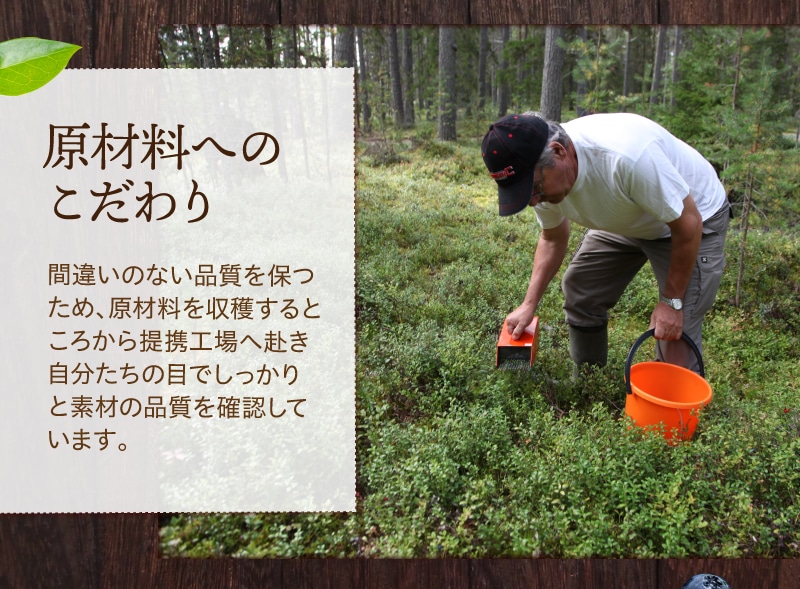 TeaLife ピント一番 ゴールド ブルーベリー 目の疲れ 目の疲労感軽減 サプリメント サプリ ピント調節機能