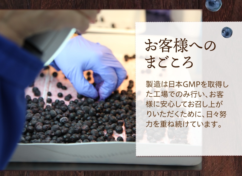TeaLife ピント一番 ゴールド ブルーベリー 目の疲れ 目の疲労感軽減 サプリメント サプリ ピント調節機能