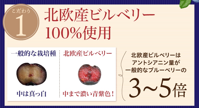 TeaLife ピント一番 ゴールド ブルーベリー 目の疲れ 目の疲労感軽減 サプリメント サプリ ピント調節機能
