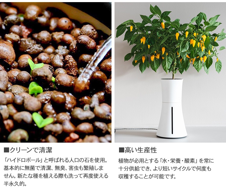 Botanium ボタニアム 液体栄養素 300ml  LED 水耕栽培 観葉植物 花 野菜 ハーブ 家庭菜園 簡単 おしゃれ 北欧 知育 自由研究 エコ 省エネ 日光不要 手間いらず  