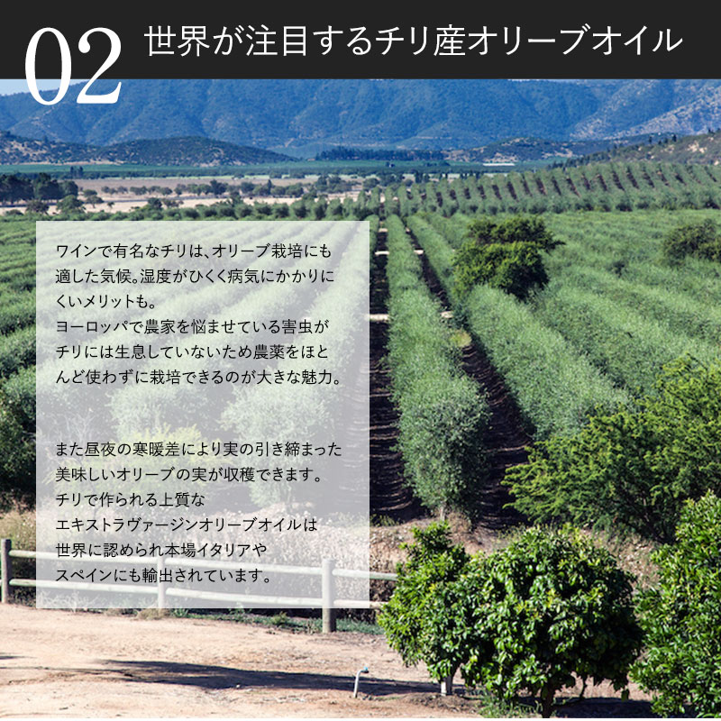 meririma メリリマ EVオリーブオイル500ml オリーブオイル エキストラバージン 食用油 おしゃれ チリ産 早摘み エクストラ ヴァージン オイル 健康油