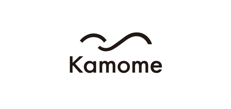 Kamome カモメファン ライト  扇風機 おしゃれ 3段階 軽量 リモコン 寝室 リビング タイマー 静か 使いやすい  
