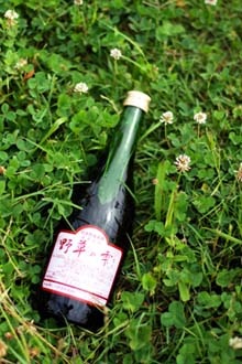 酵素ドリンク野草の雫は、50種類以上の野草や果物を発酵 - なっちゅ