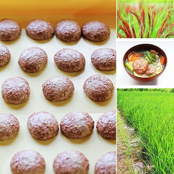 西日本産、無農薬・無肥料、自然栽培「赤もち玄米」<br>