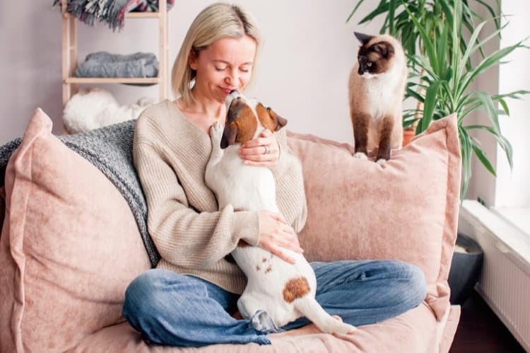 クレアーレストーリー1"