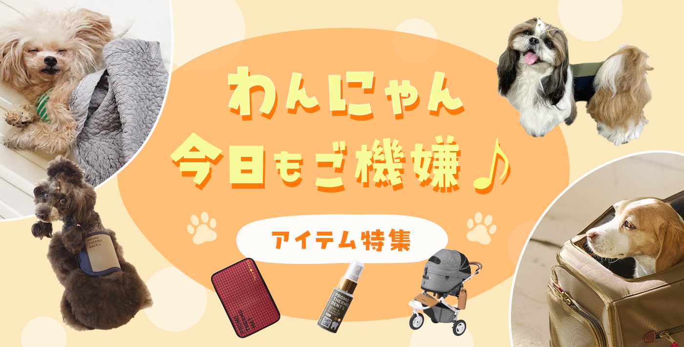 わんにゃんアイテム