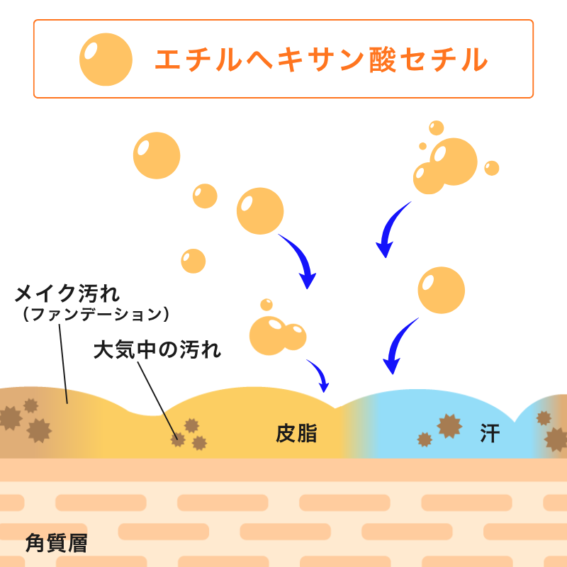 ステップ1 溶かす：エチルヘキサン酸セチルがメイク油分を溶かす