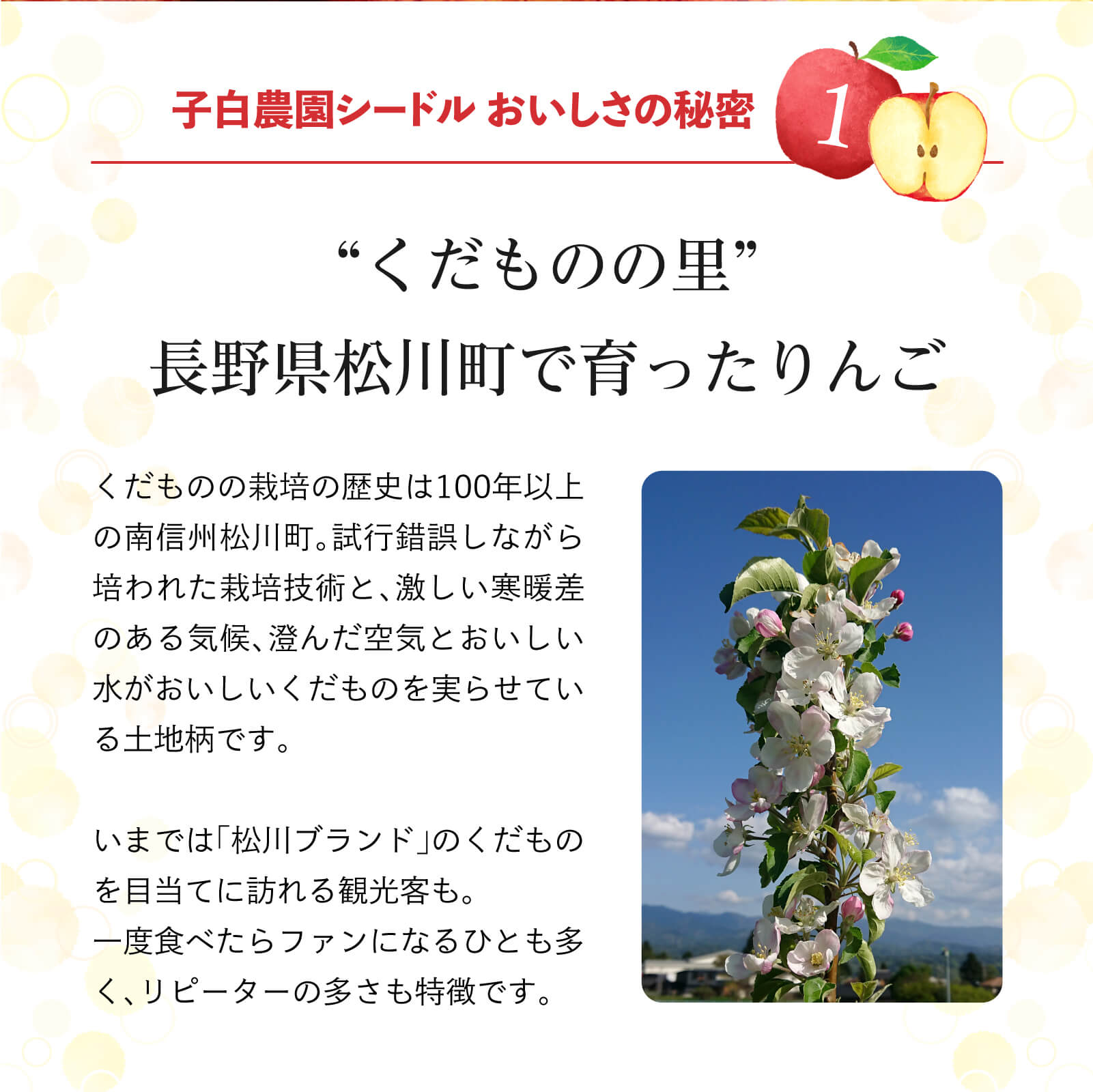 子白農園のシードル おいしさの秘密1：長野県松川町で育ったりんご