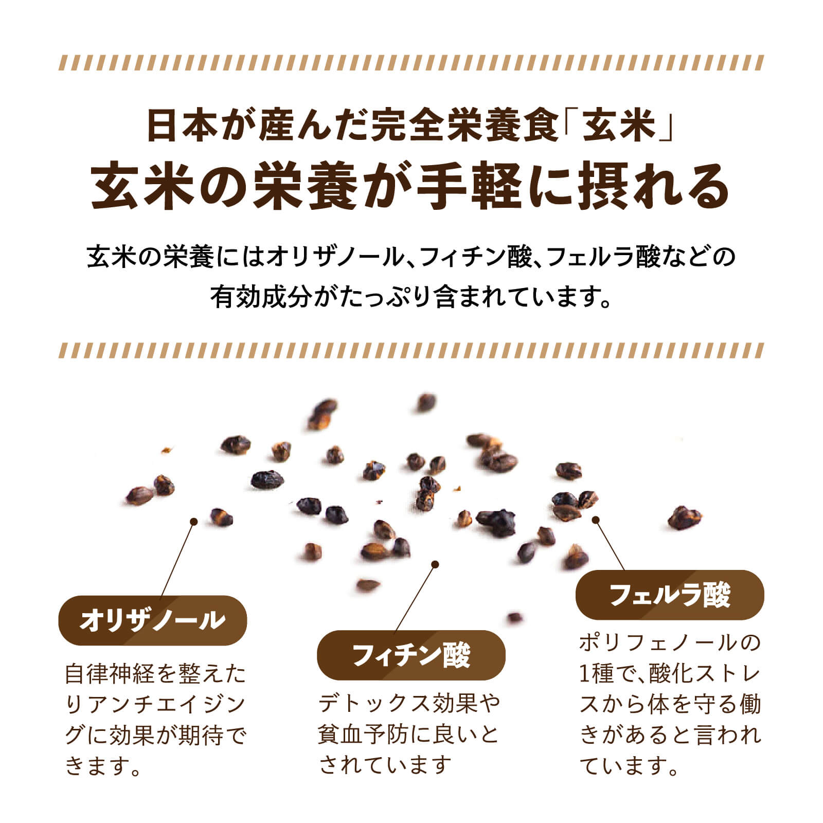 日本が産んだ完全栄養食「玄米」玄米の栄養が手軽に摂れる