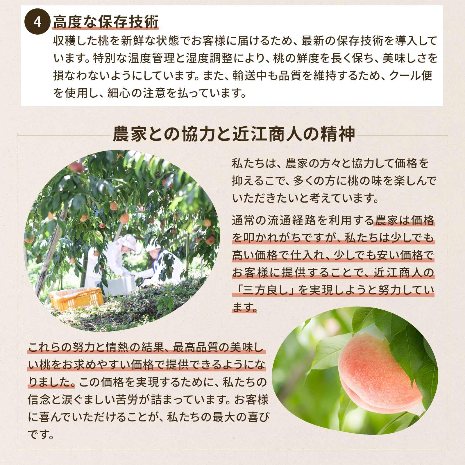 長野県産白桃