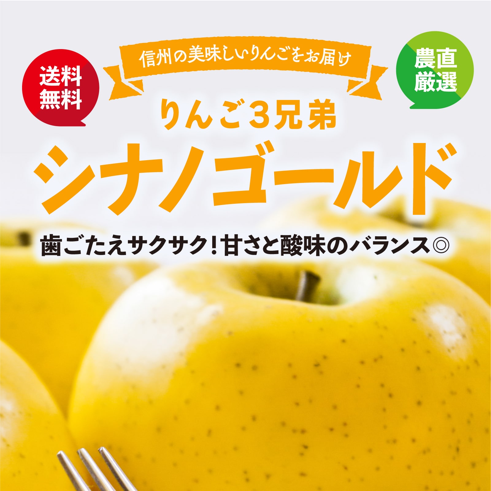 信州のおいしいリンゴをお届け リンゴ3兄弟 シナノゴールド 歯ごたえサクサク！甘さと酸味のバランス◎