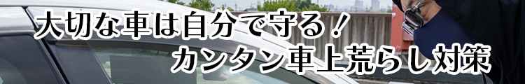 大切な車は自分で守る！カンタン車上荒らし対策