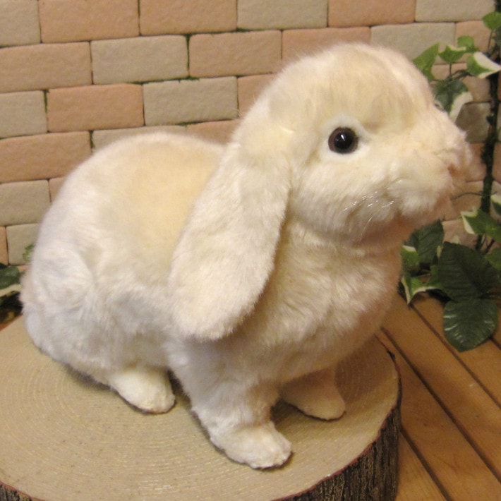 リアルなウサギのぬいぐるみ ロップイヤー うさぎの置物 ラビットオブジェ インテリア バニーグッズ フィギュア かわいい動物グッズの通販なら 雑貨の森 Ki Ra Ra