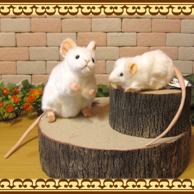 ネズミの置物 リアルな ねずみのぬいぐるみ 白ネズミ 親子２体セット 干支 オブジェ 飾り インテリア もふもふ 縁起物 かわいい動物グッズの通販なら 雑貨の森 Ki Ra Ra