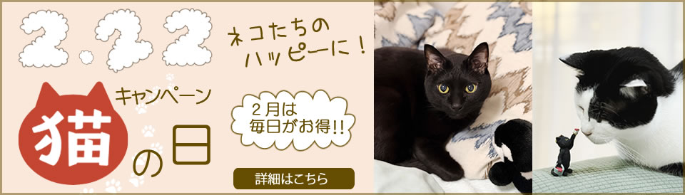 猫の日キャンペーン