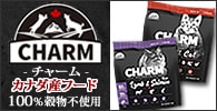 チャーム