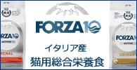 フォルツァ