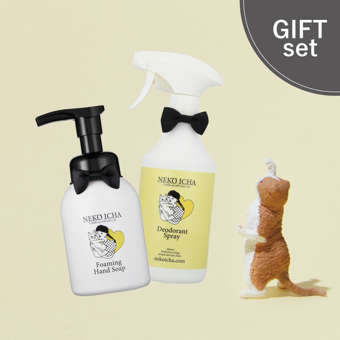 手もおうちもキレイセット