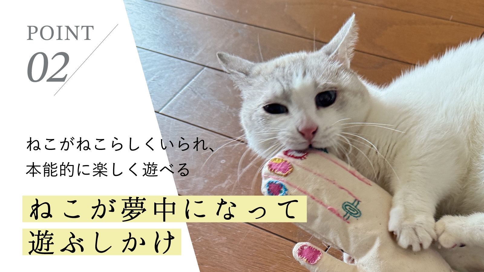 ねこがねこらしくいられ、本能的に楽しく遊べる。ねこが夢中になって遊ぶしかけ