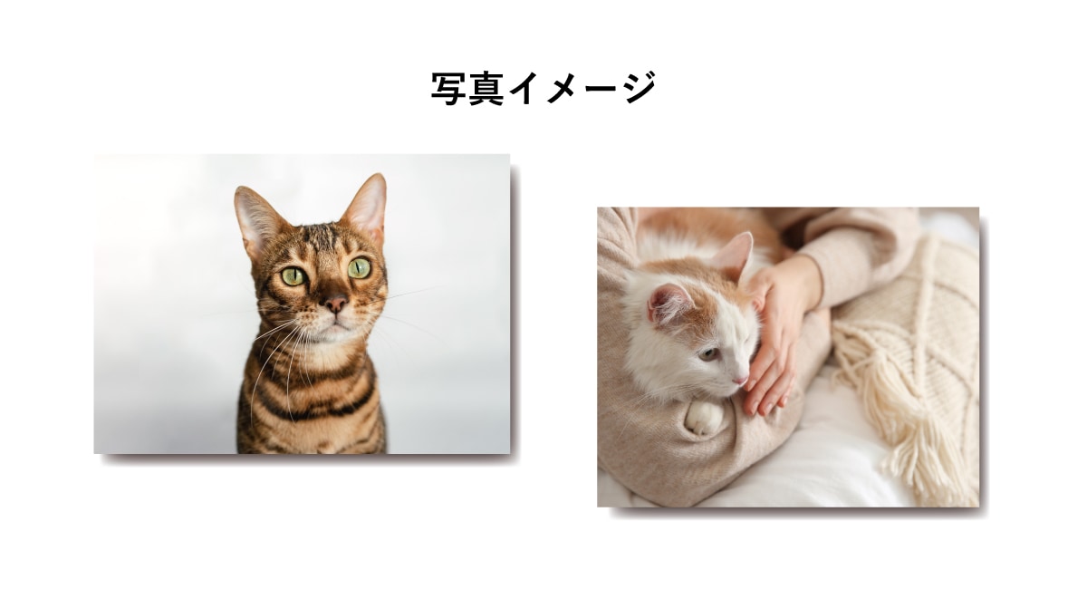 募集写真イメージ