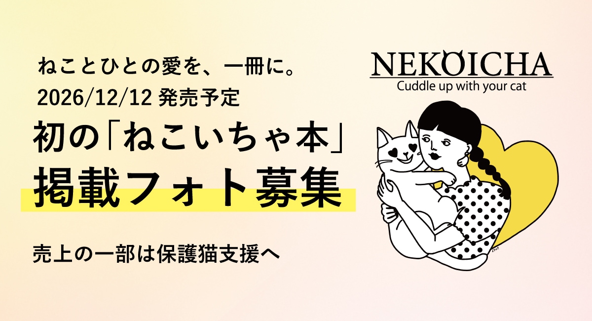 「ねこいちゃ本」掲載フォト募集