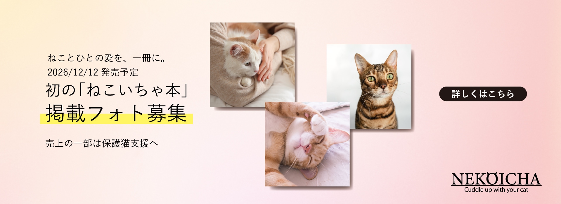 ねこいちゃ本掲載フォト募集