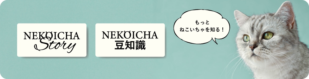 ねこいちゃストーリー＆豆知識