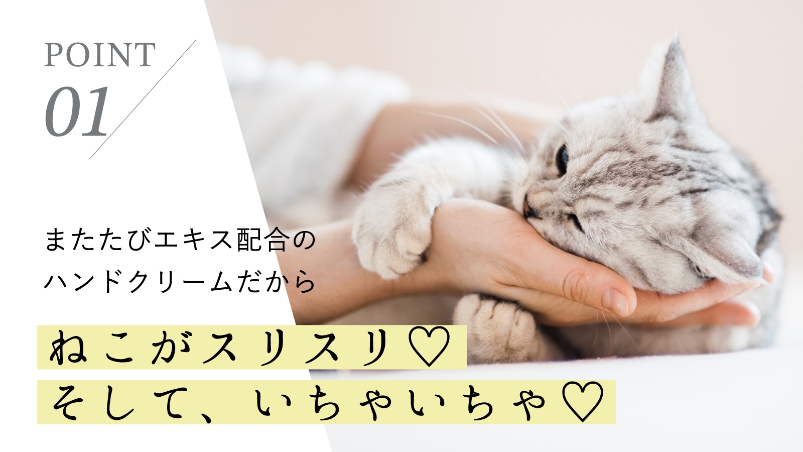 POINT1またたびエキスを配合のハンドクリームだから、ねこがスリスリ、そしていちゃいちゃ