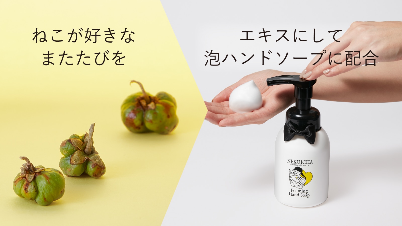 ねこが好きなまたたびをエキスにして泡ハンドソープに配合