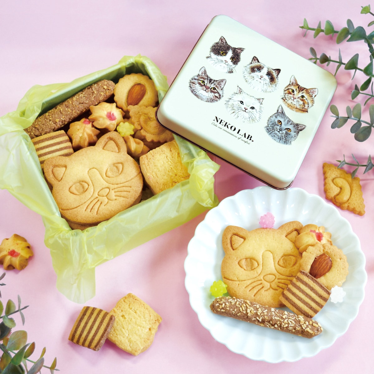 クッキー缶が大人気｜【公式】NEKOLAB ネコラボ通販サイト