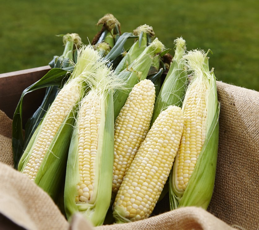 あさくまコーンスープ画像