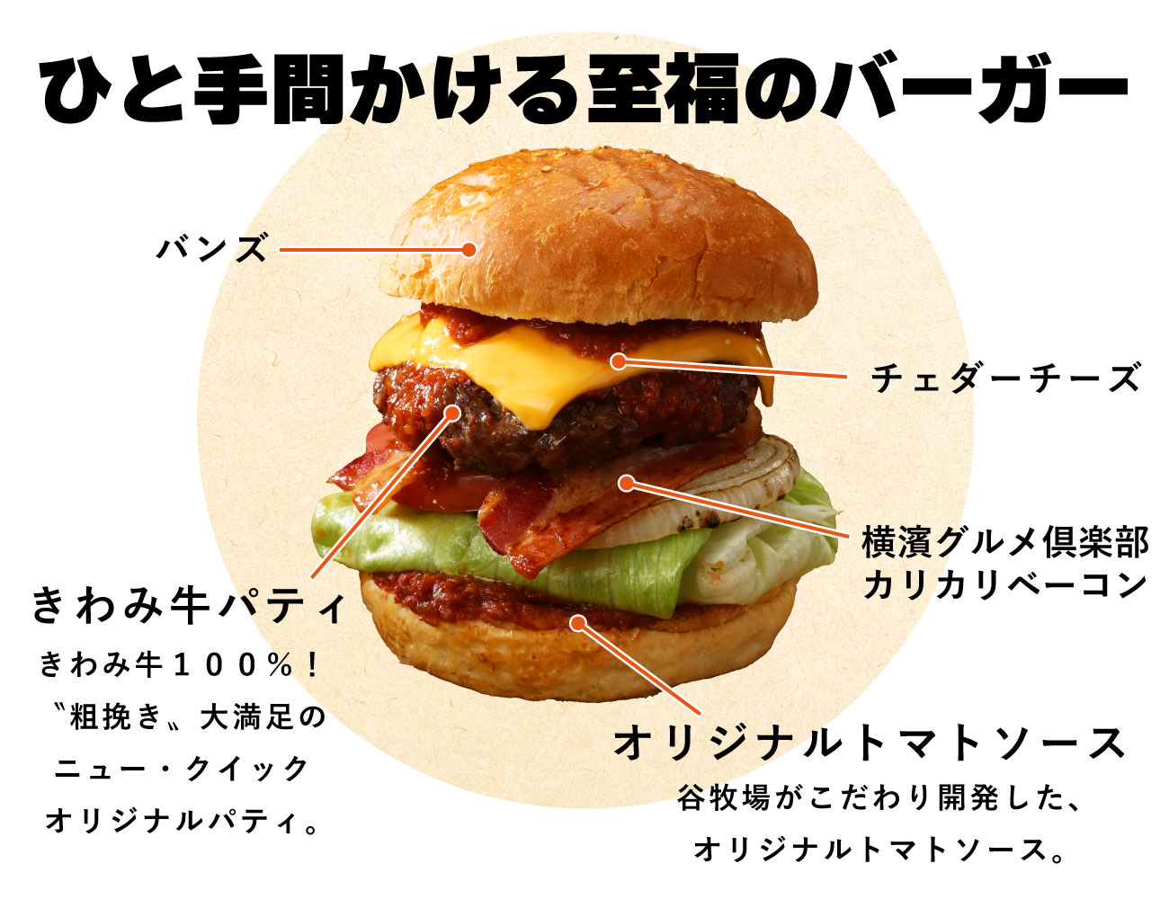 画像の説明