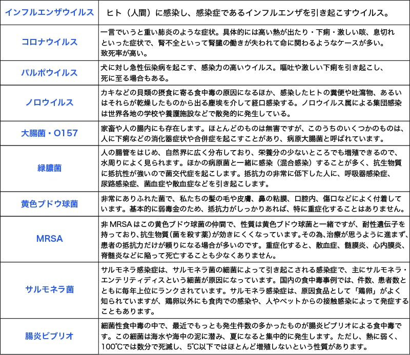 �����륹ɽ